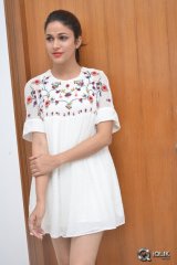 Lavanya Tripathi Interview About Mister